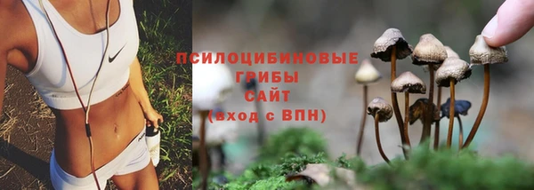 СК Куйбышев