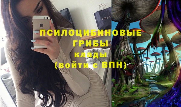 Альфа ПВП Кулебаки